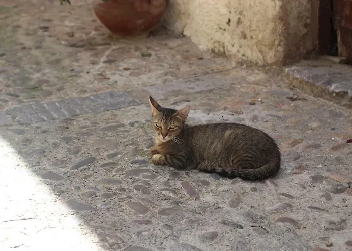 Dolce Aida 아파트 *